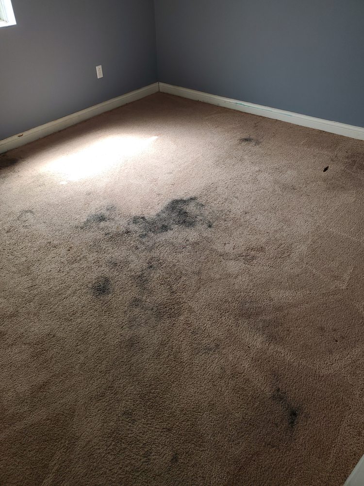 Photo of JLee's Carpet & Floor Cleaning