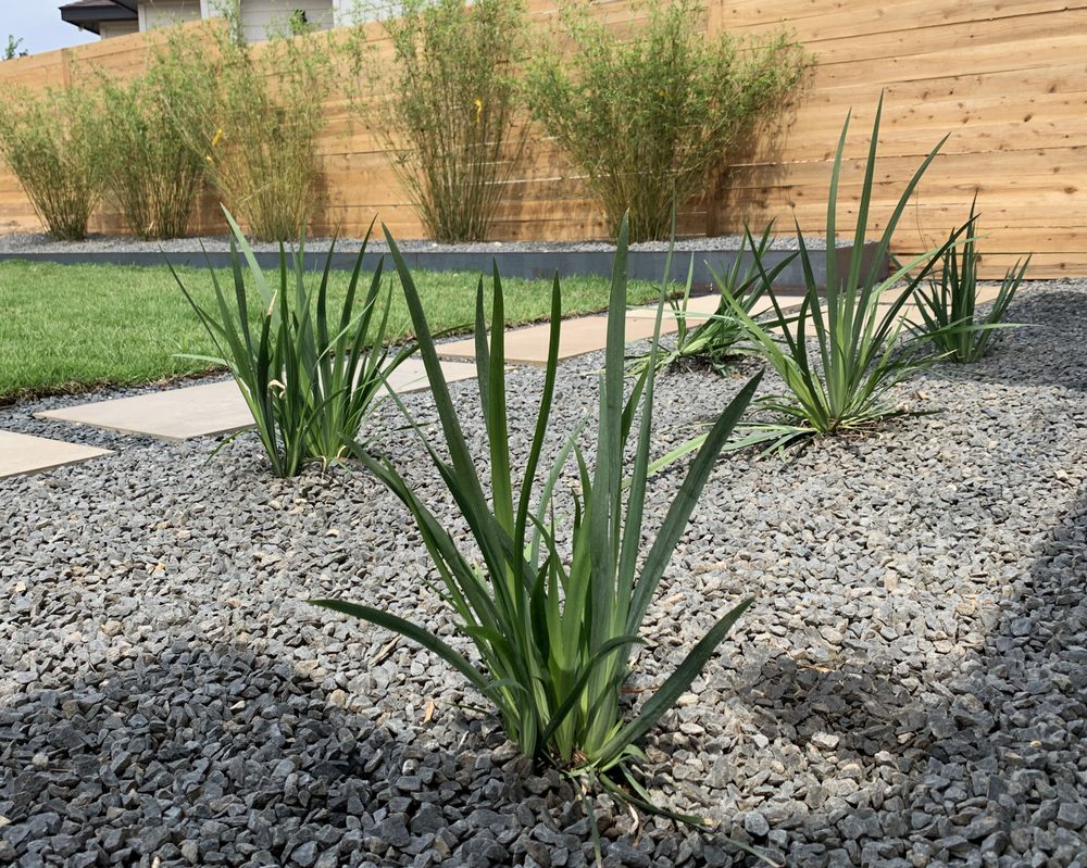 Photo of Thrive Landscape and Design