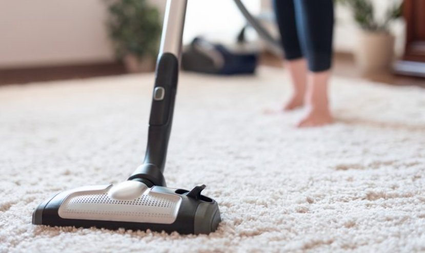 Photo of The Bunny Cleaning