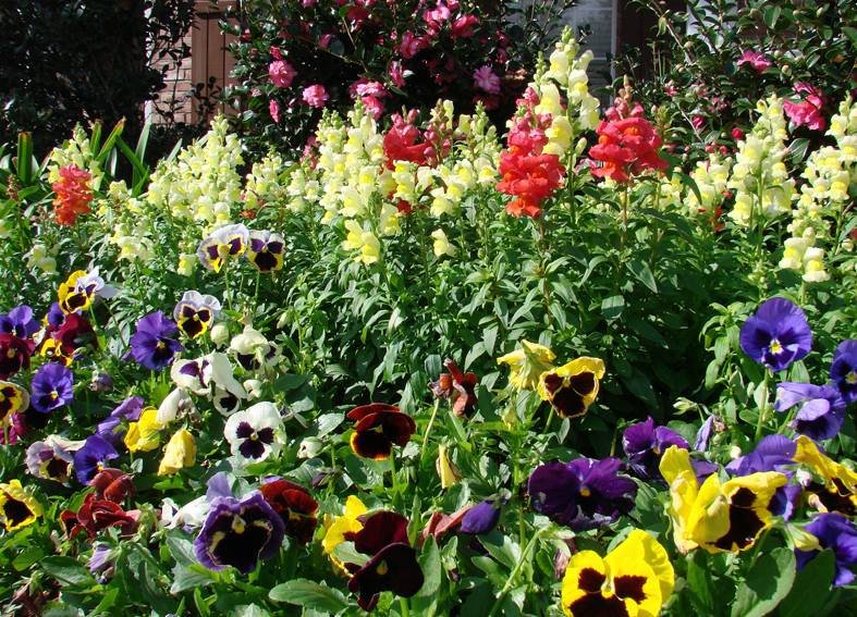 Photo of Mighty Mowers Lawn & Landscape