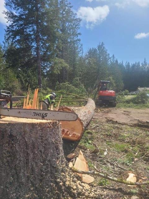 Photo of Fred Holmes Tree Service