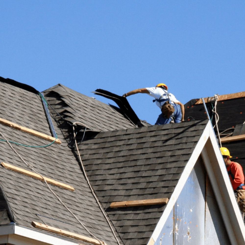 Photo of Juno Construction