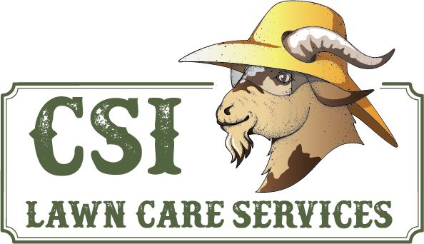 Photo of CSI Lawn Care Services