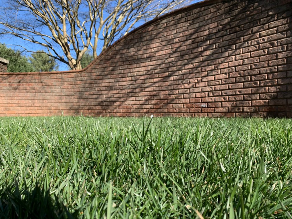 Photo of CSI Lawn Care Services