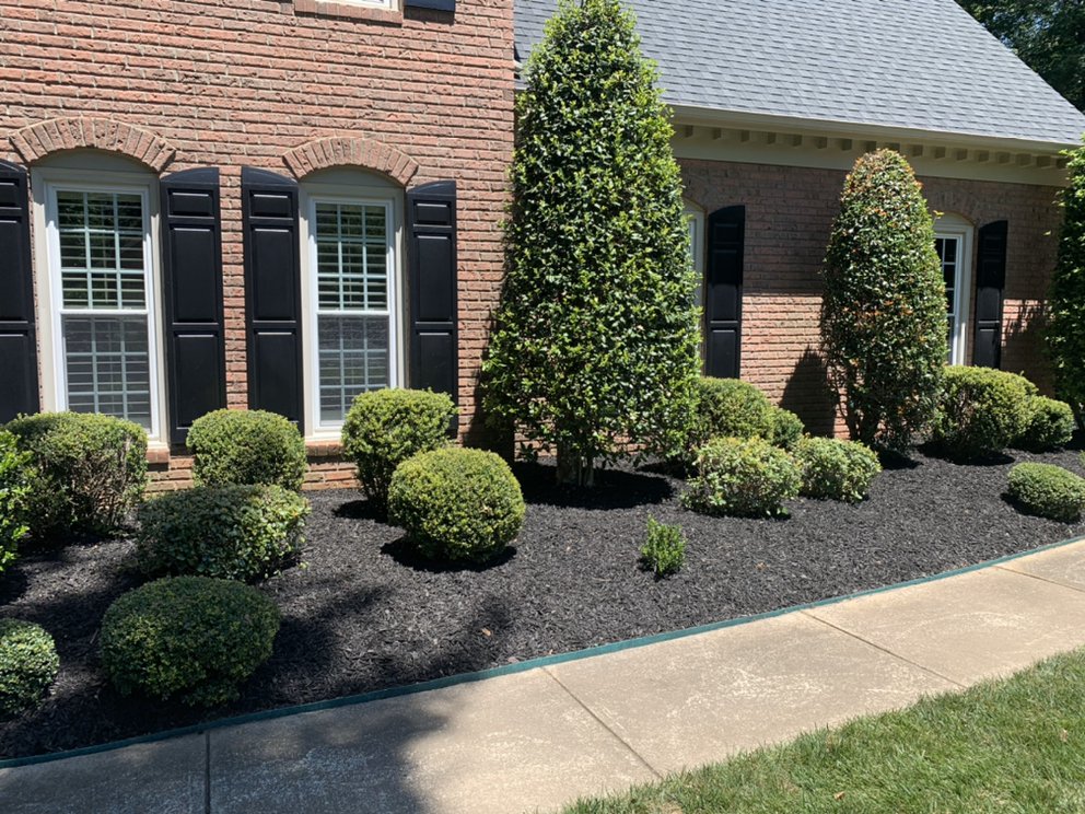 Photo of CSI Lawn Care Services