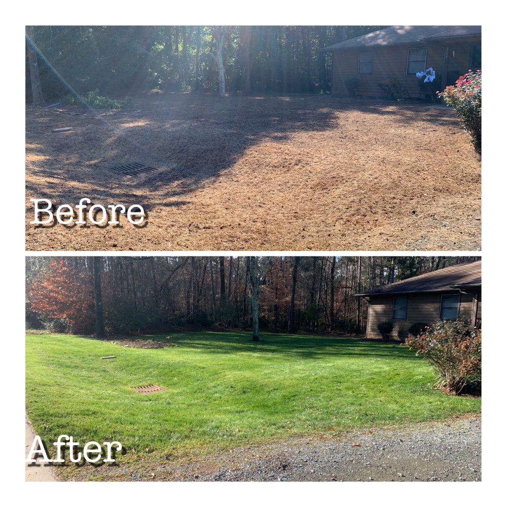 Photo of CSI Lawn Care Services