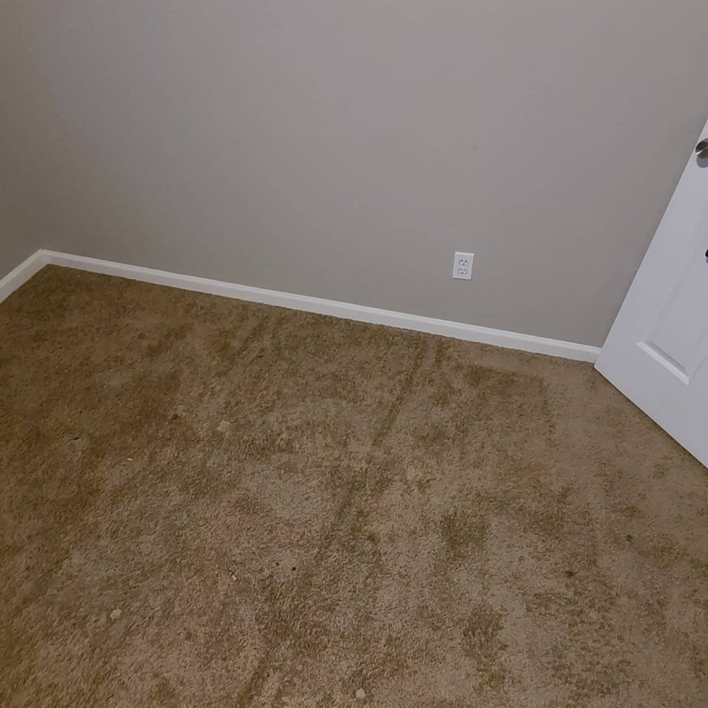 Photo of The Other Guys Cleaning