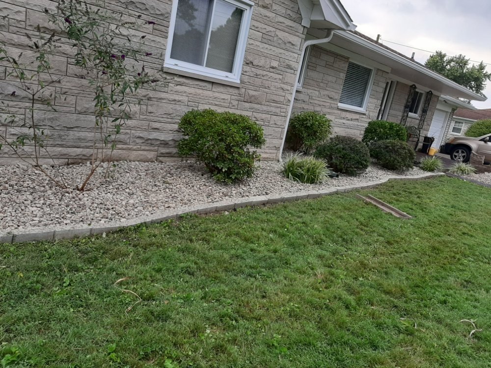 Photo of Alex Landscaping