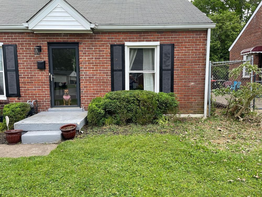 Photo of Alex Landscaping