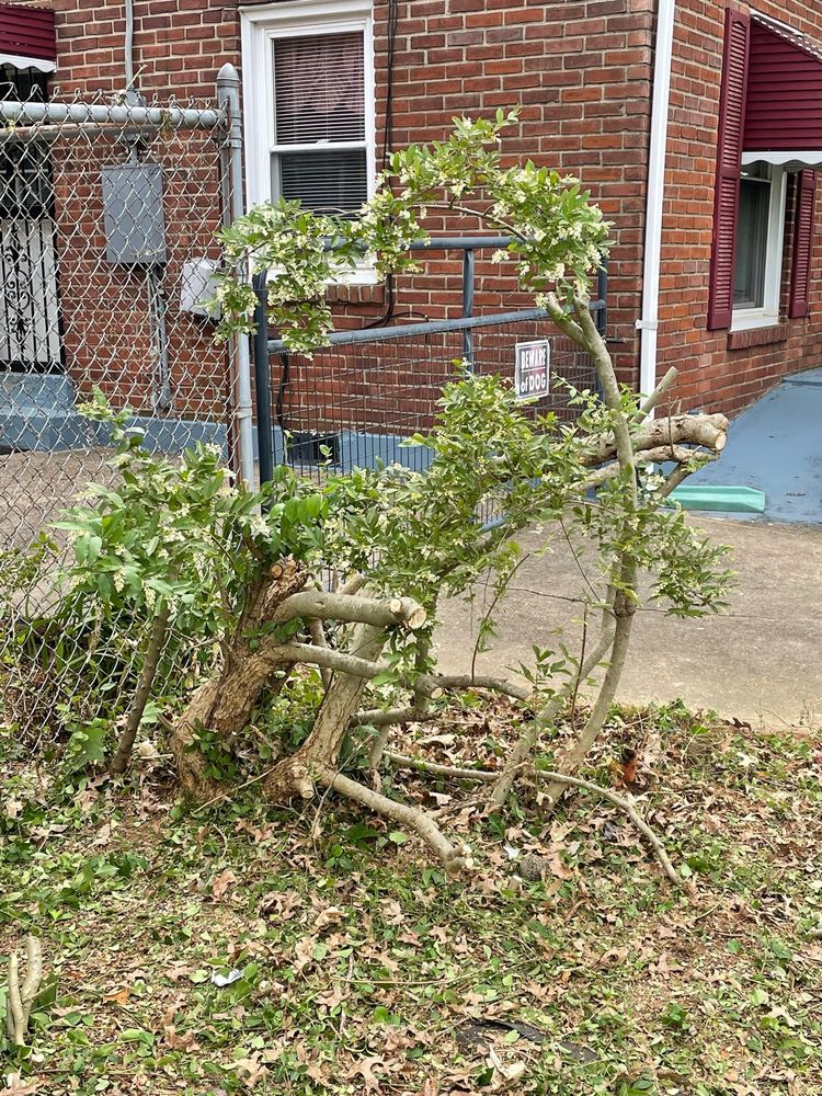 Photo of Alex Landscaping