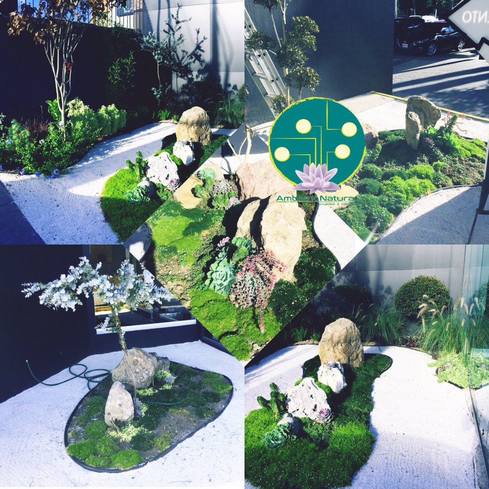 Photo of Ambient Natura