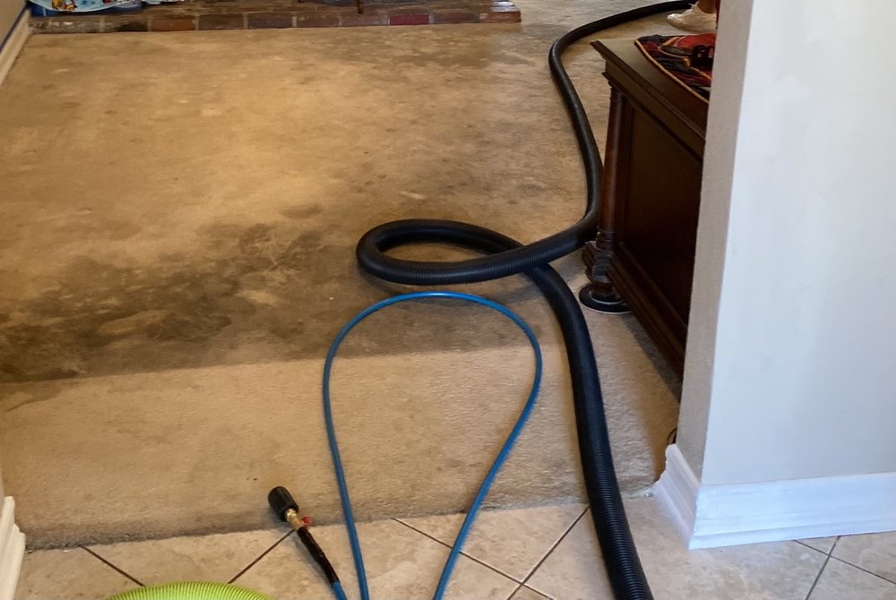 Photo of Angels Carpet Care