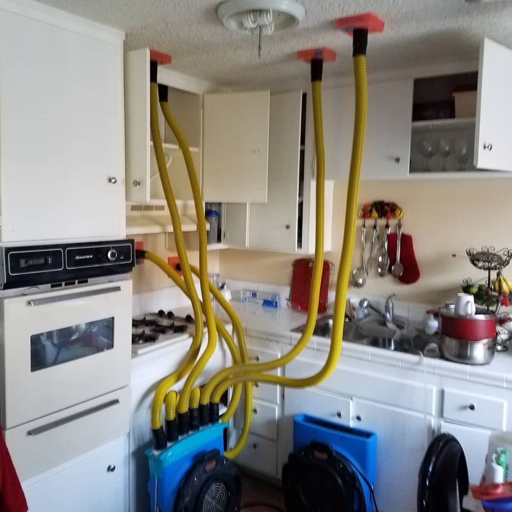 Photo of Angels Carpet Care