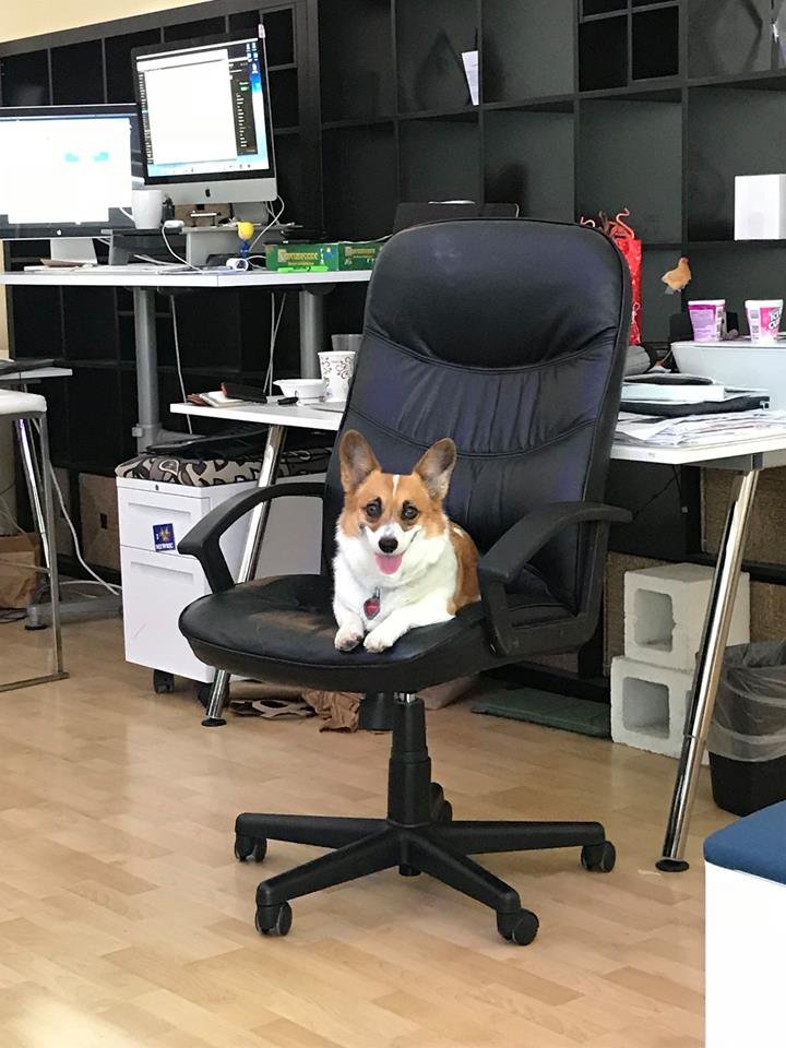 Photo of White Hat Agency