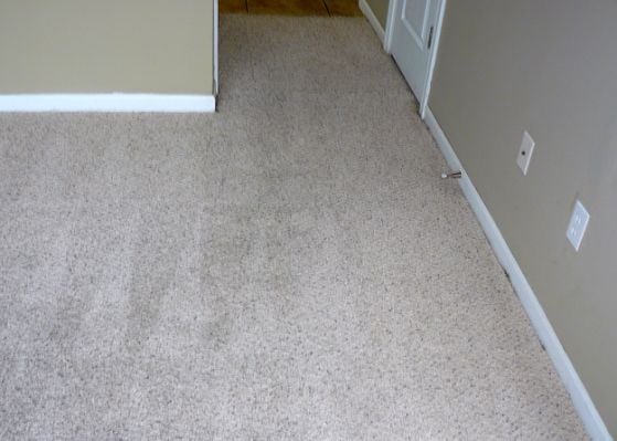Photo of Dry Mist