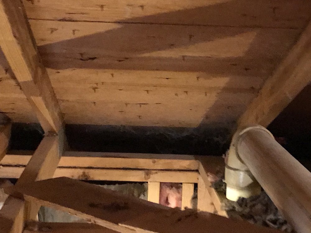 Photo of Fox Valley Gutter Cap & Insulation