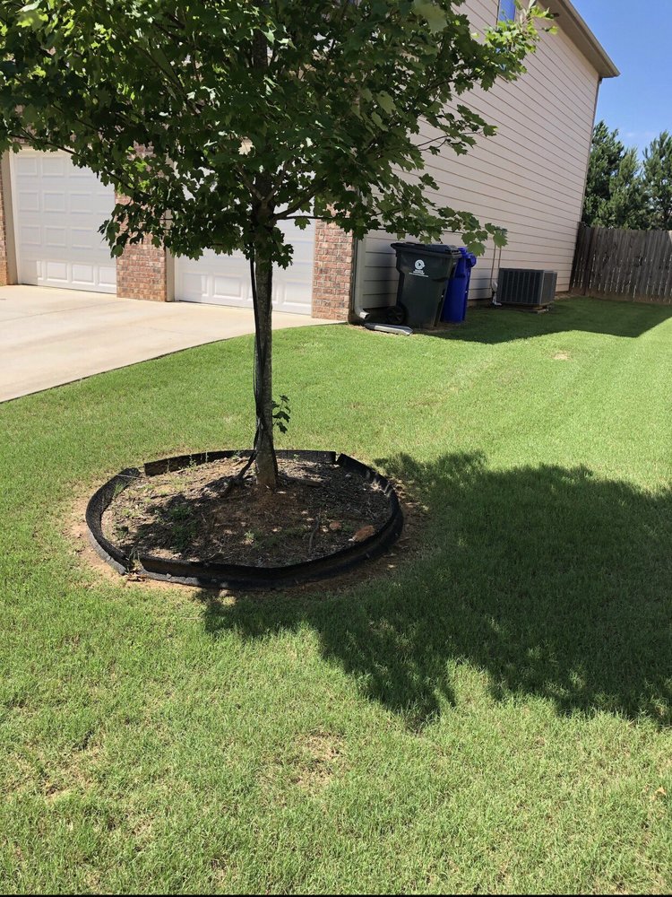 Photo of The Grass Professionals