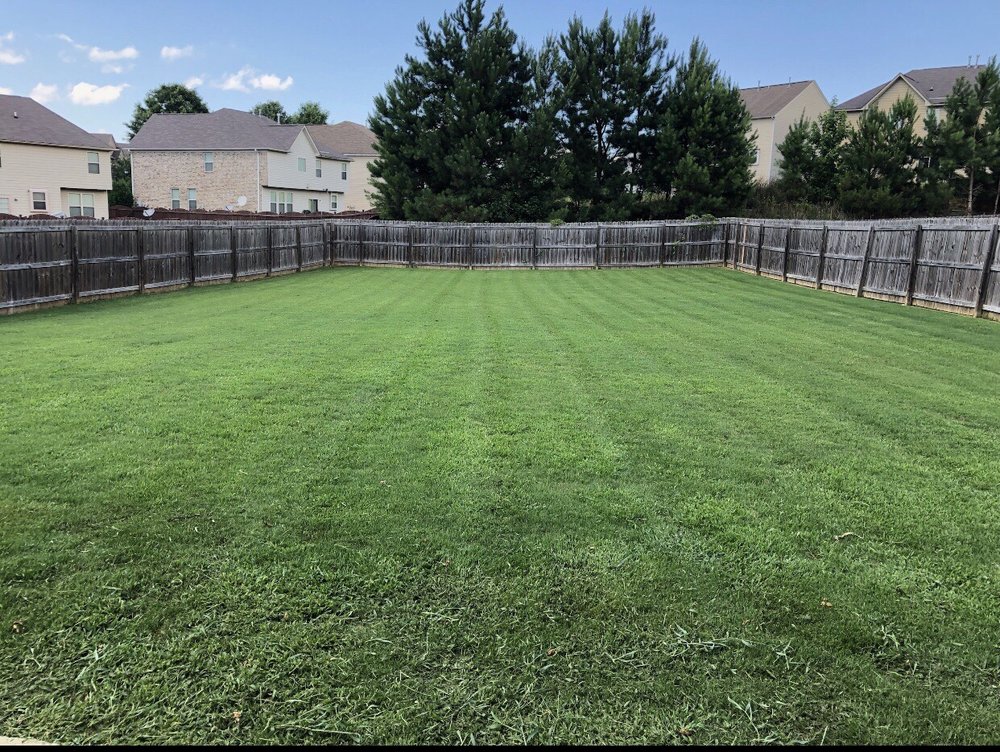 Photo of The Grass Professionals