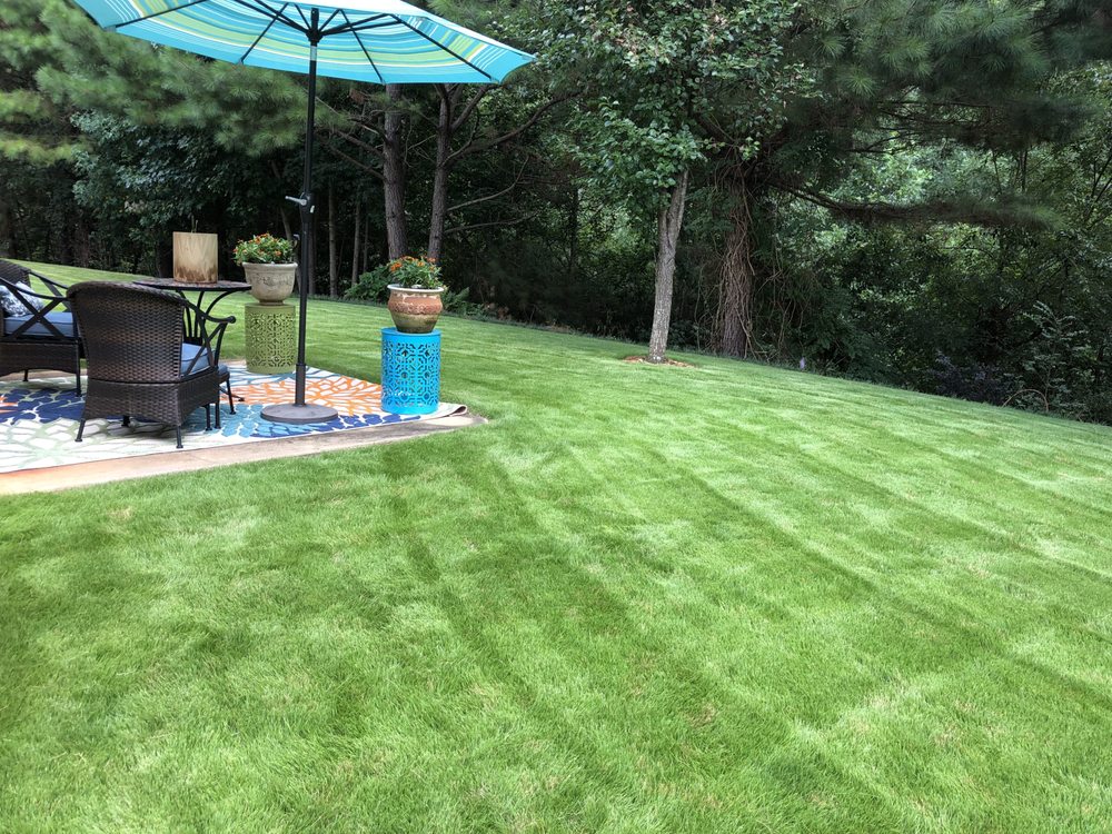 Photo of The Grass Professionals