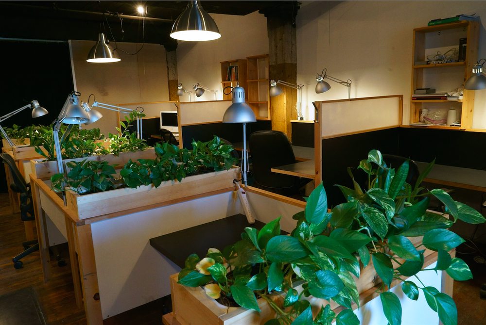 Photo of Not An Alternative - Brooklyn Coworking