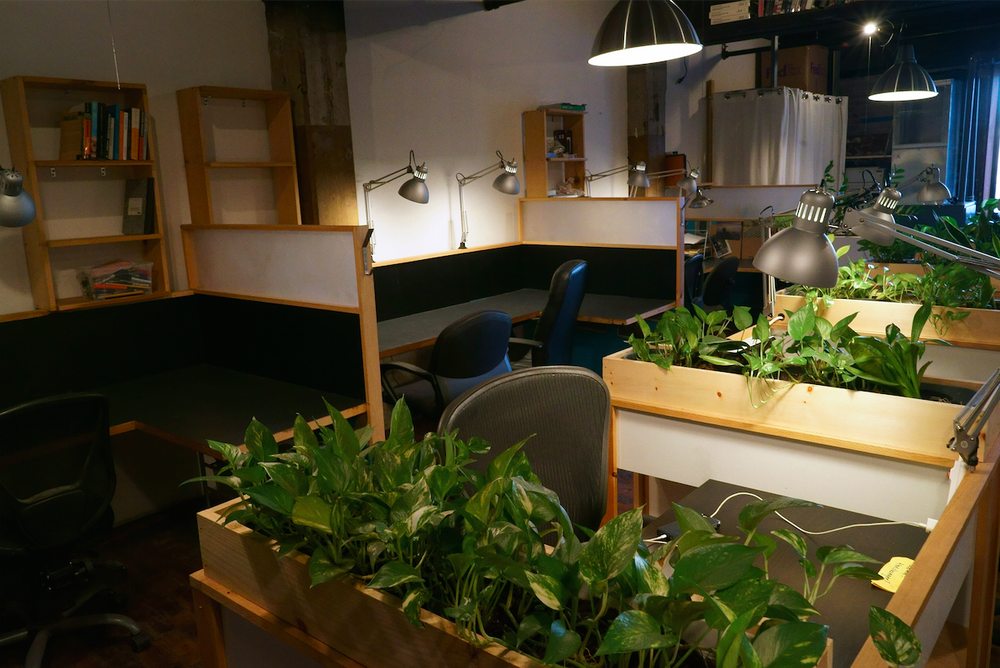 Photo of Not An Alternative - Brooklyn Coworking