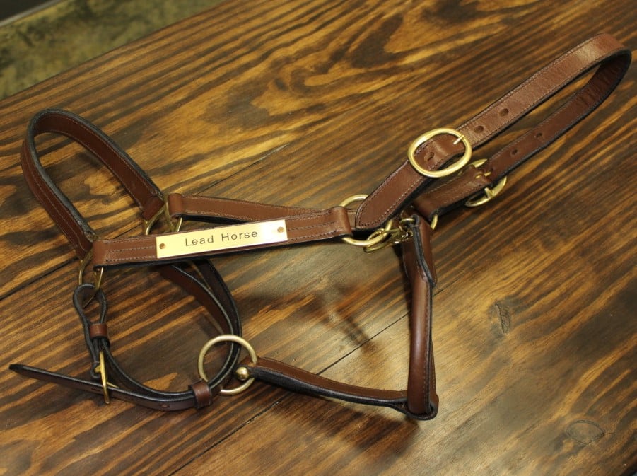 Photo of Lead Horse Marketing