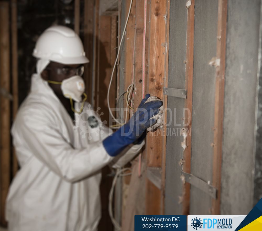 Photo of FDP Mold Remediation - Washington DC