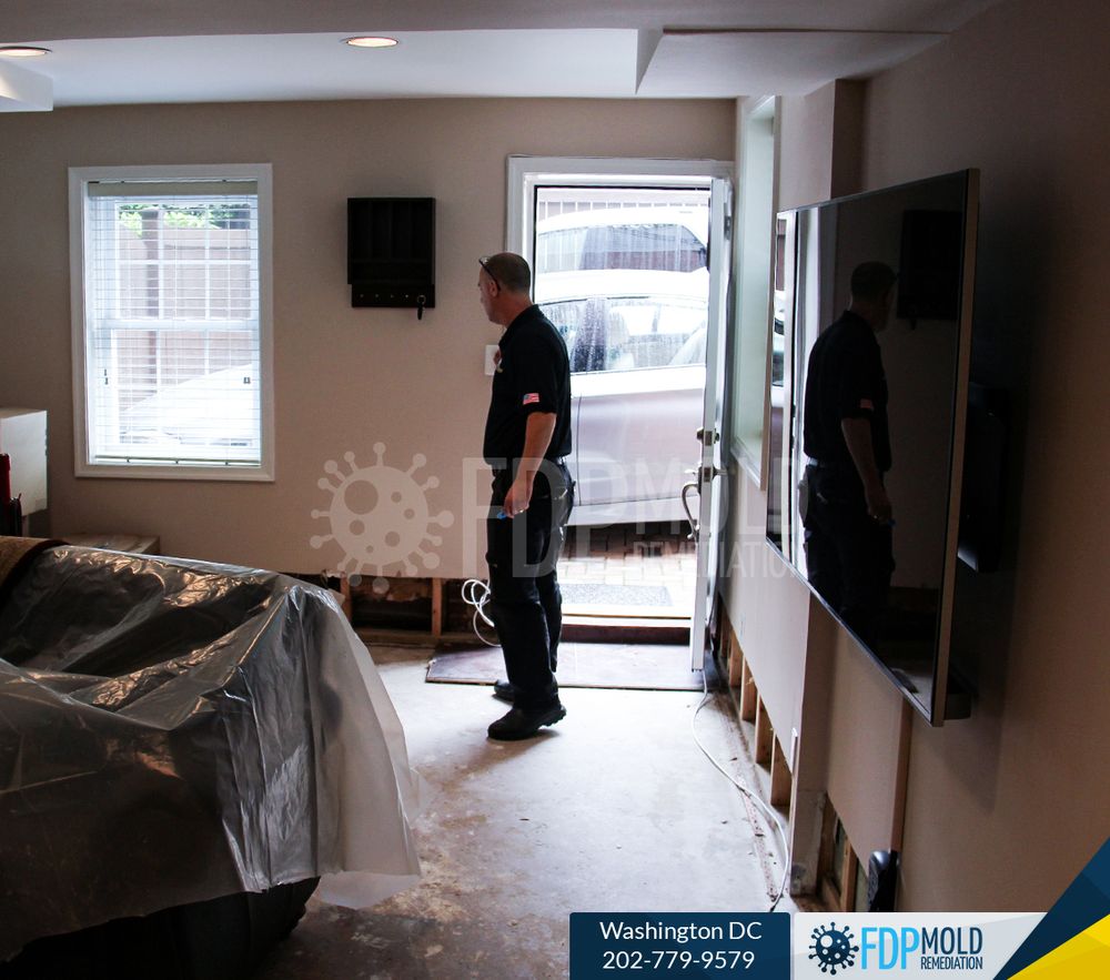 Photo of FDP Mold Remediation - Washington DC