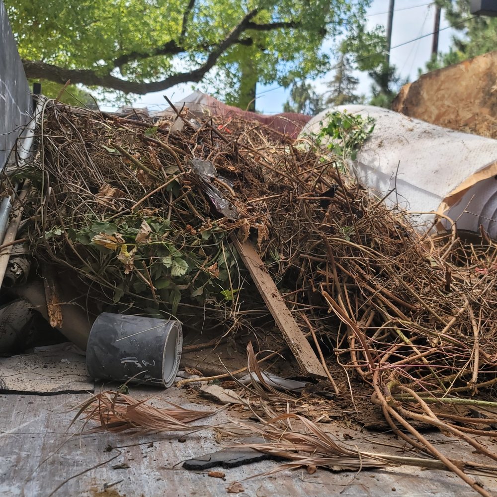 Photo of Antonio's Hauling and Trash Removal