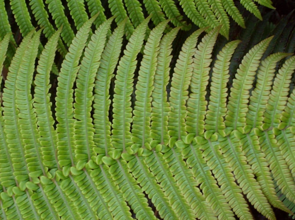 Photo of Sustain Landscape Design