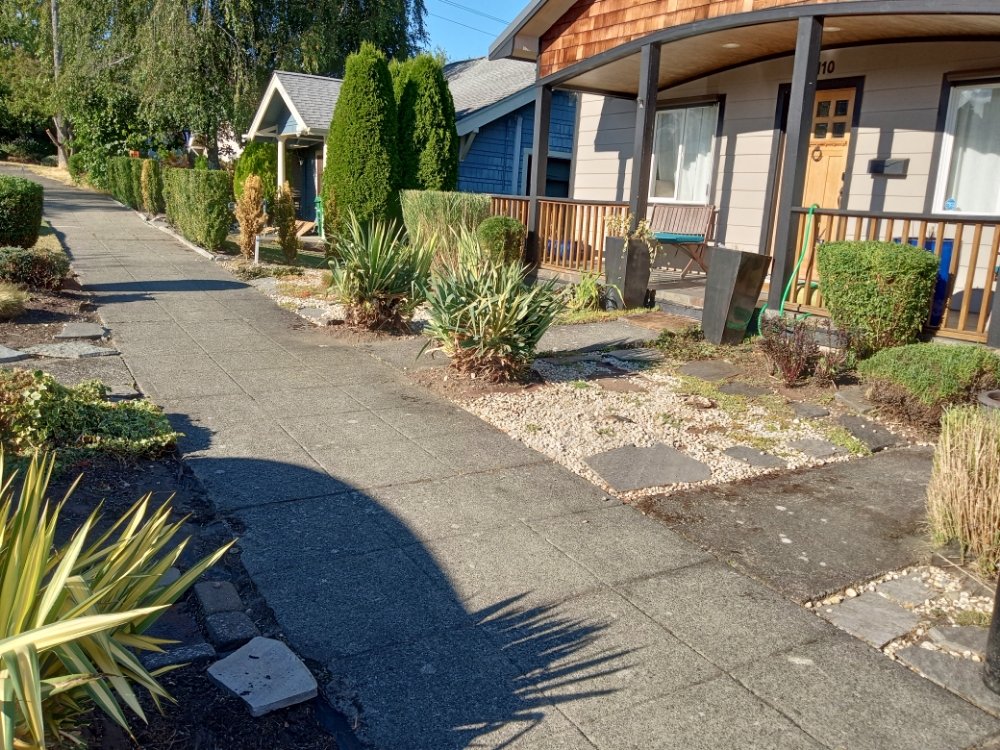 Photo of Green Star Landscaping