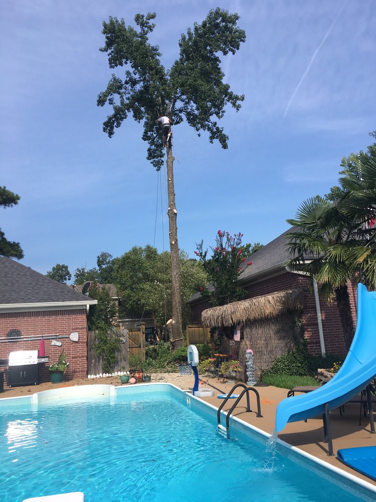Photo of Dylan Tree Services