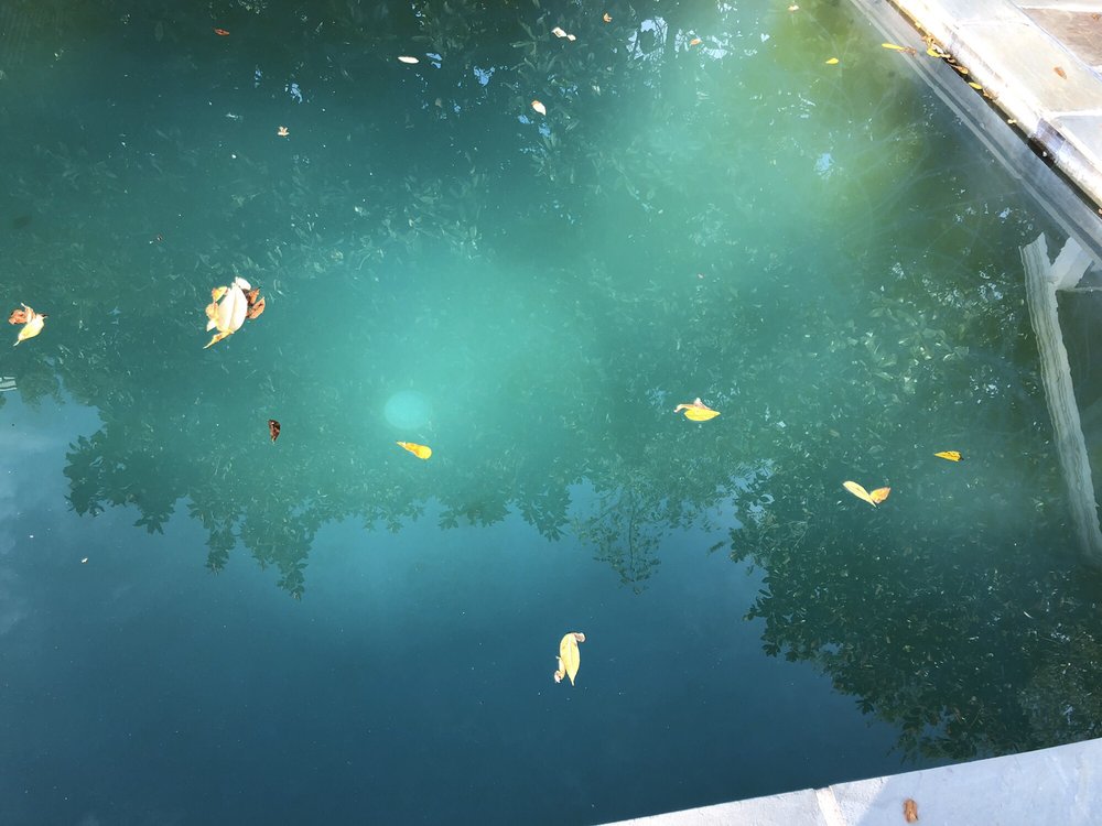Photo of Pool Service Company