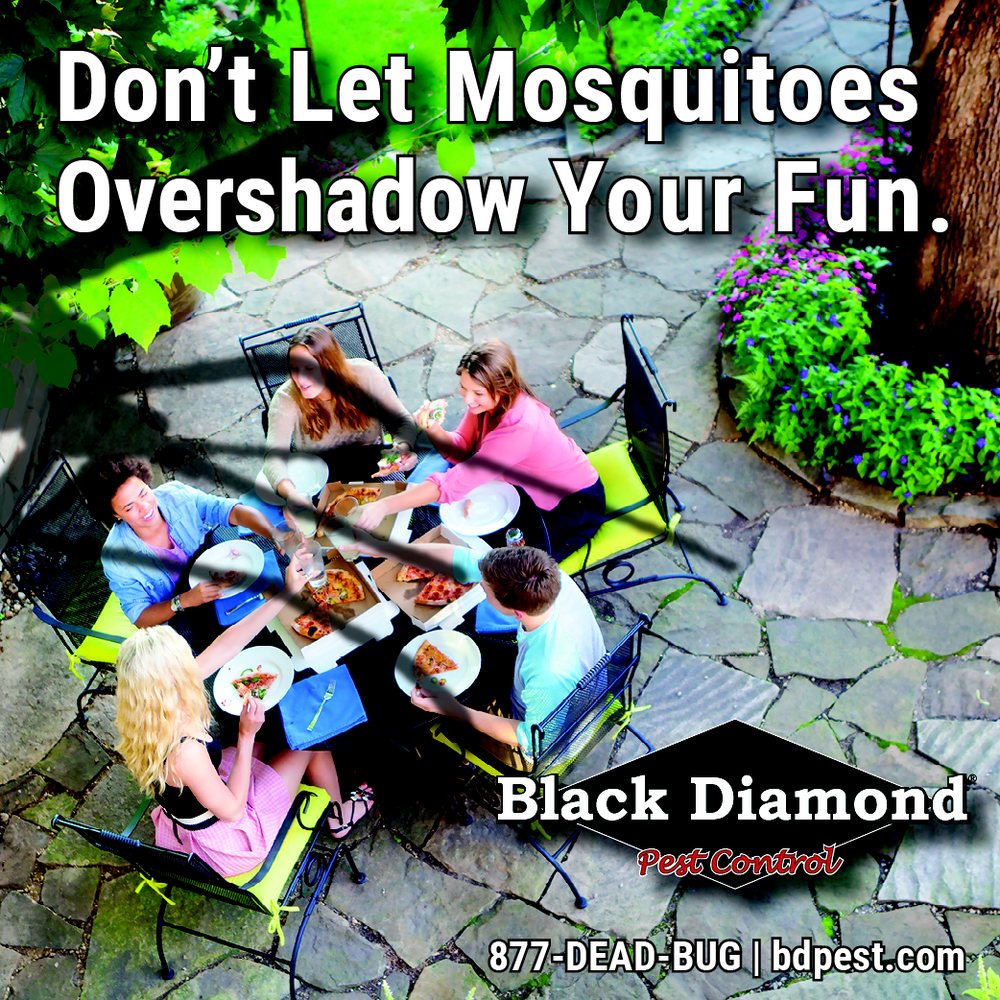 Photo of Black Diamond Termite & Pest Control