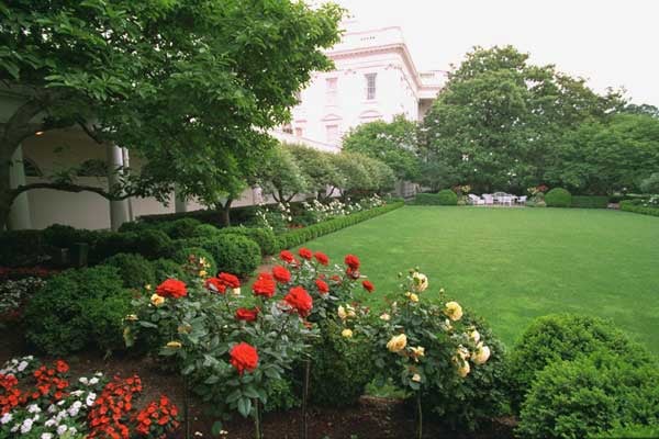 Photo of Orchids Gardening & Landscaping Services