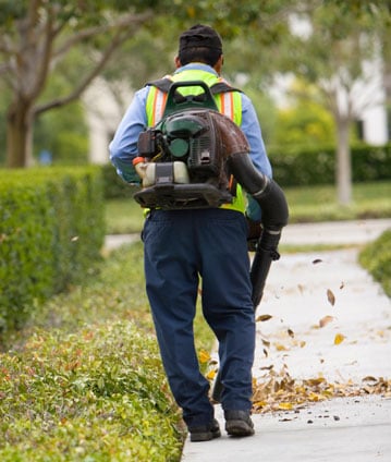 Photo of Orchids Gardening & Landscaping Services