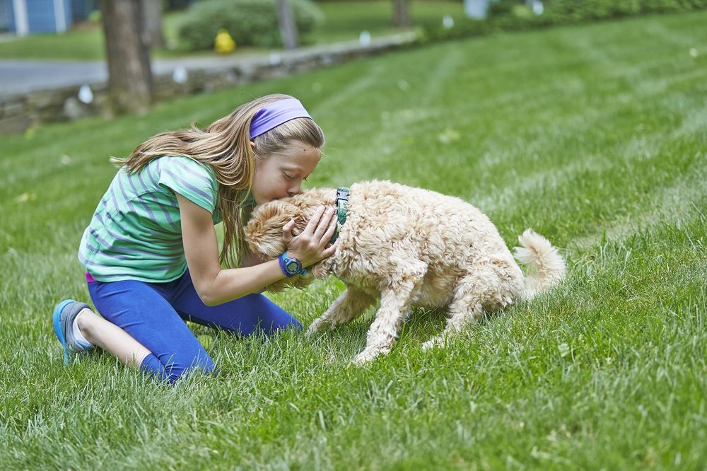 Photo of DogWatch of Southeast Indiana