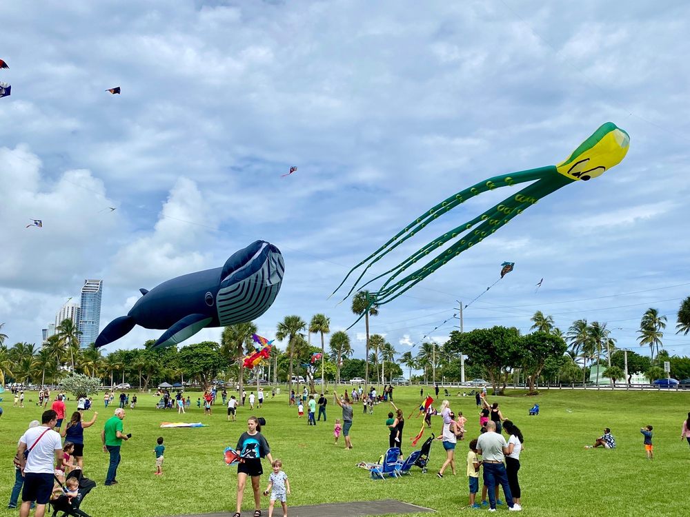 Photo of Skyward Kites