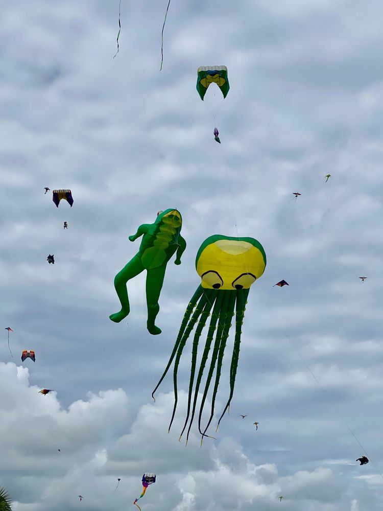 Photo of Skyward Kites