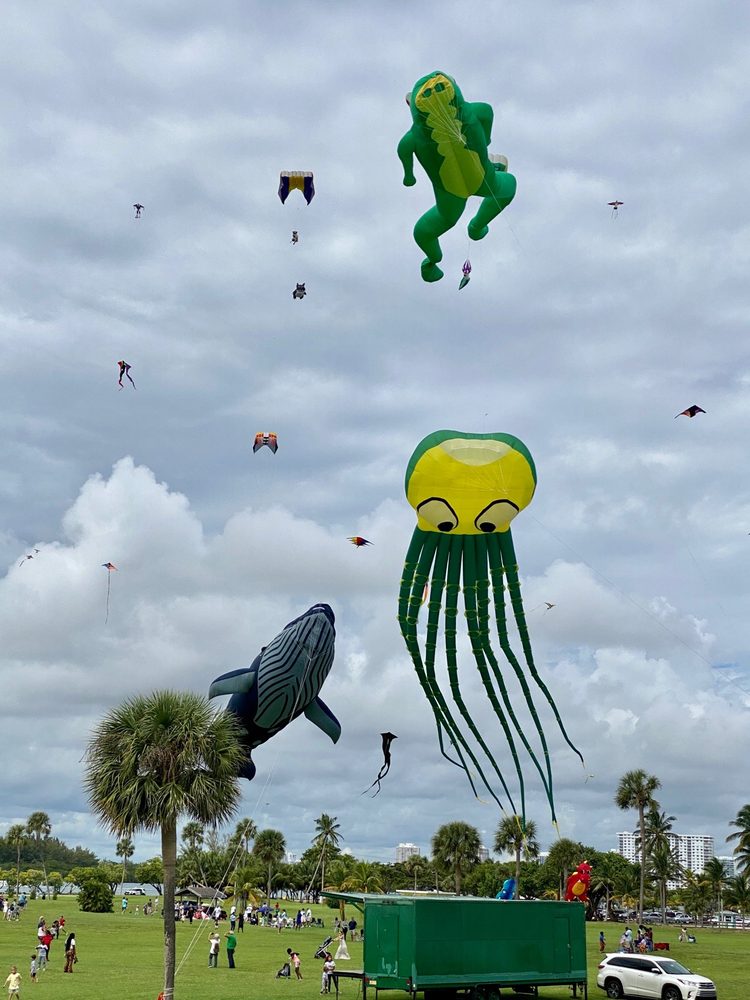Photo of Skyward Kites