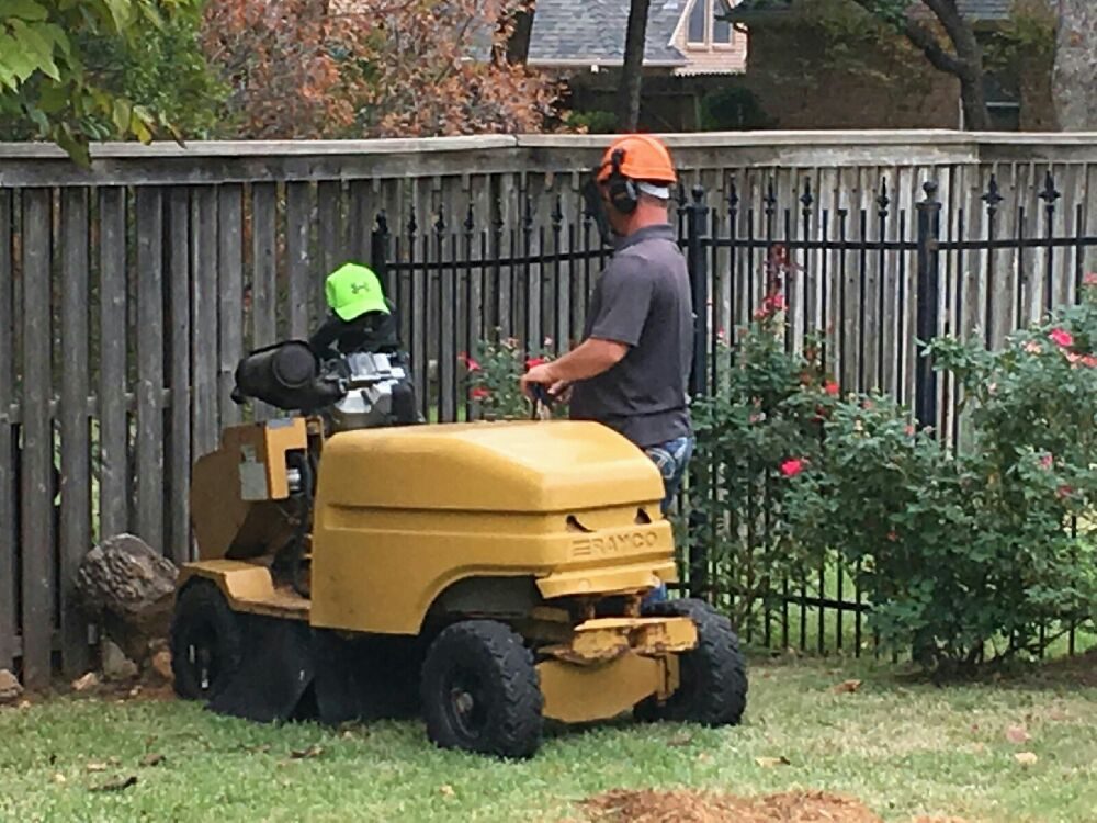 Photo of Arbor-Tech Tree Service