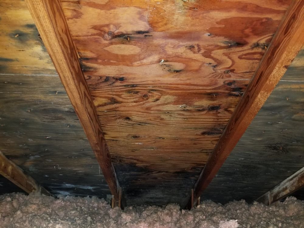 Photo of Remedial-Solutions