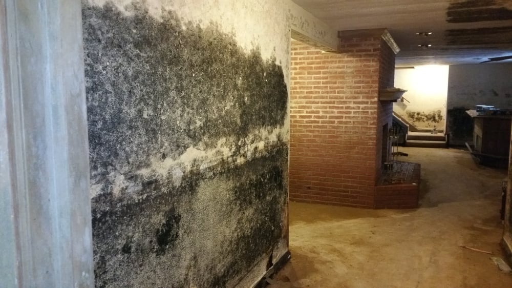 Photo of Remedial-Solutions