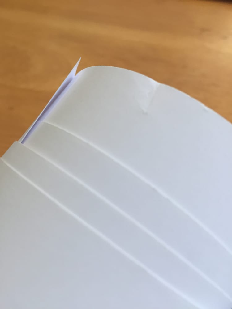 Photo of Copypilot