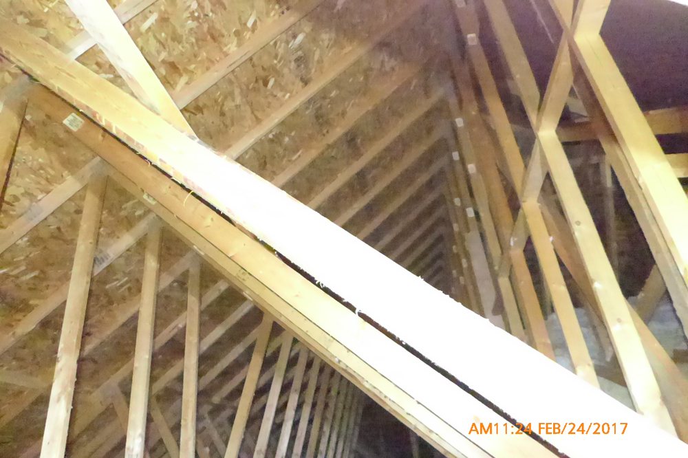 Photo of Alpine Design & Inspections