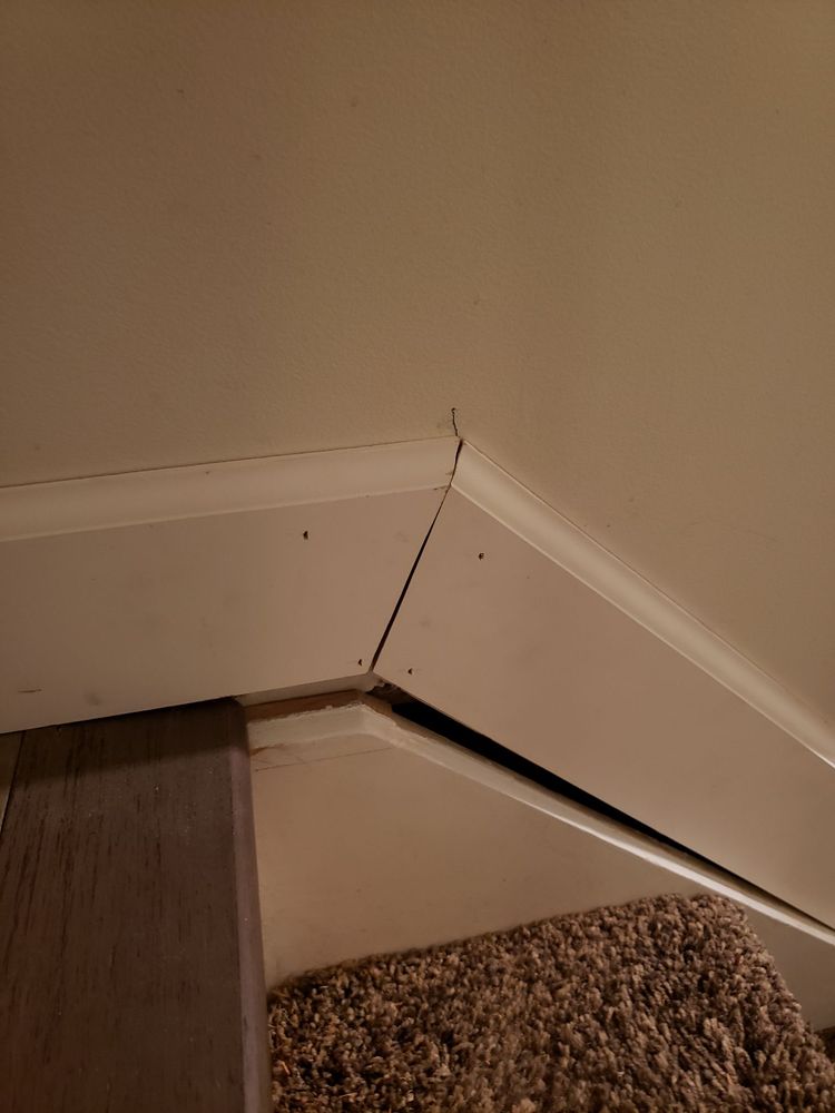Photo of Wood Floors & More