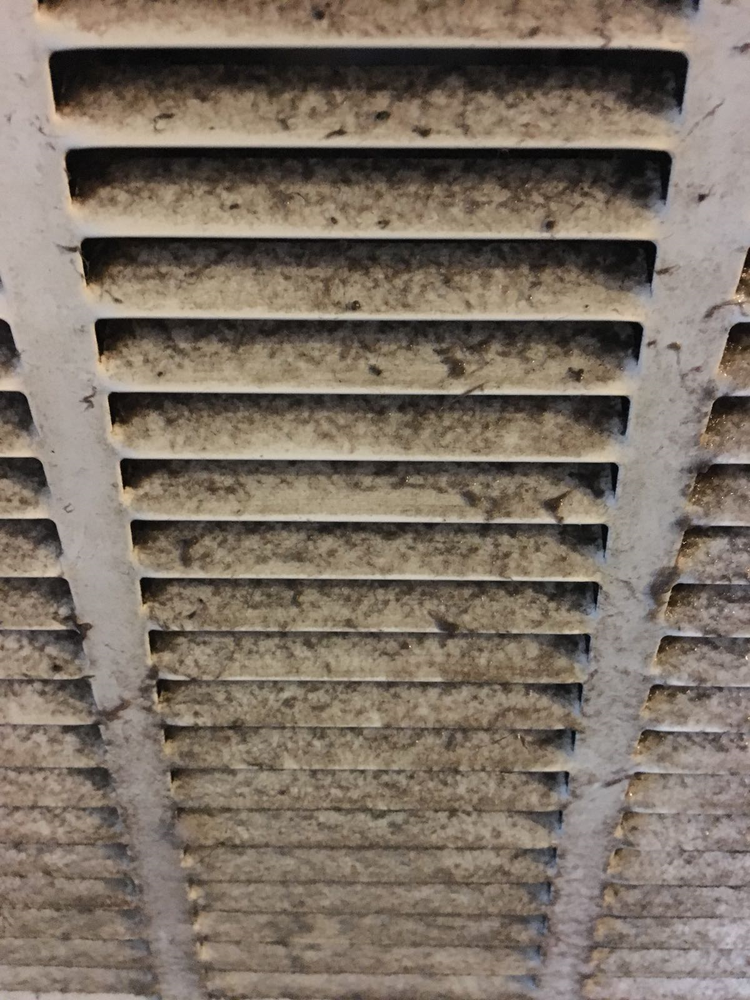 Photo of NYC Cleaning Forces