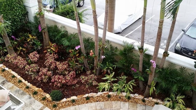 Photo of Elite Landscaping Group