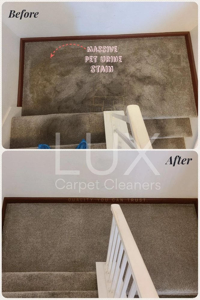 Photo of LUX Carpet Cleaners