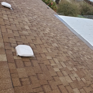 Photo of Gunky Gutters Be Gone